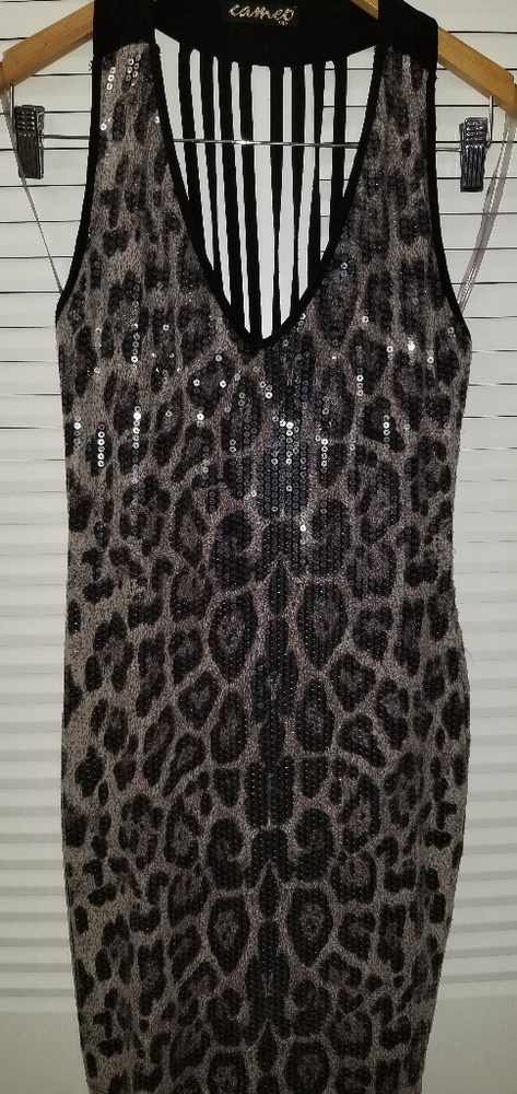 Sequence Dress